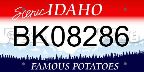 BK08286 Idaho License Plate