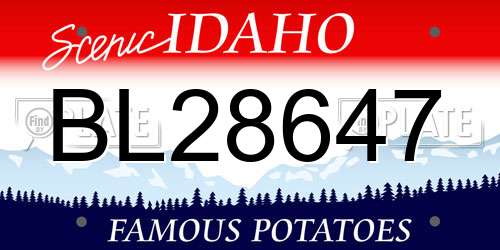 BL28647 Idaho License Plate