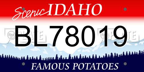 BL78019 Idaho License Plate