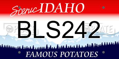 BLS242 Idaho License Plate