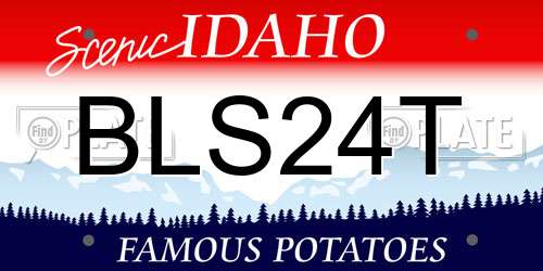 BLS24T Idaho License Plate