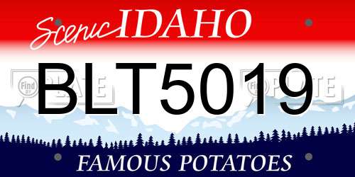 BLT5019 Idaho License Plate