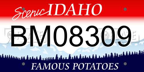 BM08309 Idaho License Plate