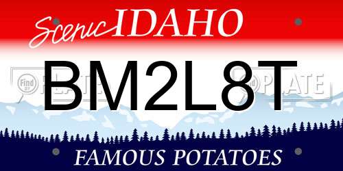 BM2L8T Idaho License Plate