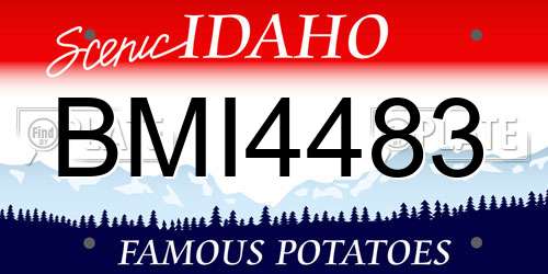 BMI4483 Idaho License Plate