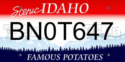 BN0T647 Idaho License Plate