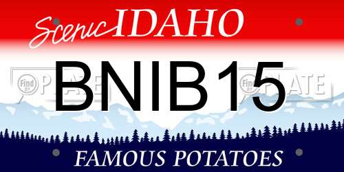 BNIB15 Idaho License Plate