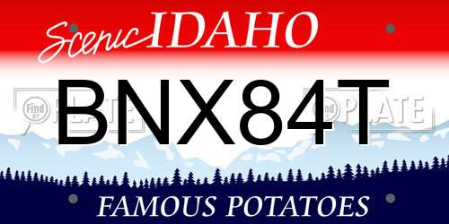 BNX84T Idaho License Plate
