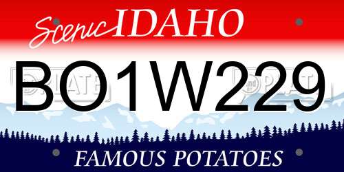 BO1W229 Idaho License Plate