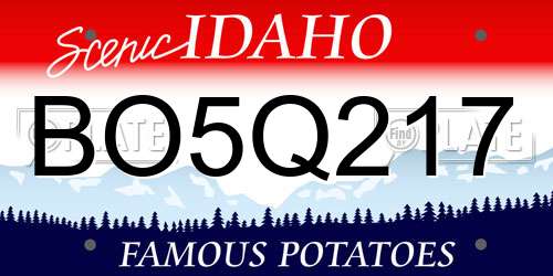 BO5Q217 Idaho License Plate