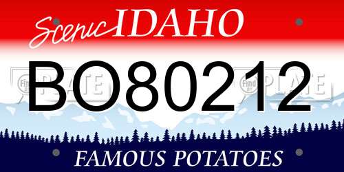BO80212 Idaho License Plate