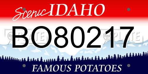 BO80217 Idaho License Plate