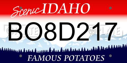 BO8D217 Idaho License Plate