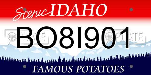 BO8I901 Idaho License Plate