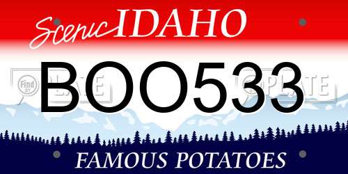 BOO533 Idaho License Plate