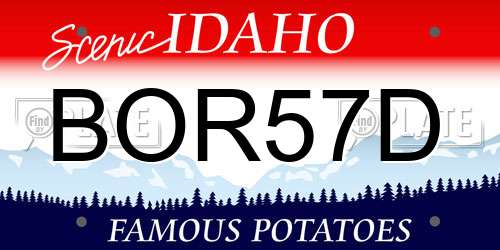 BOR57D Idaho License Plate