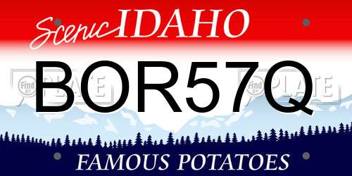 BOR57Q Idaho License Plate