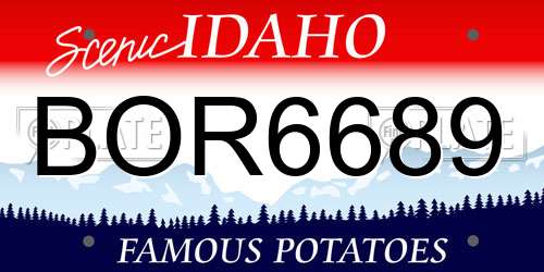 BOR6689 Idaho License Plate