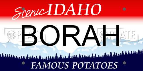 BORAH Idaho License Plate