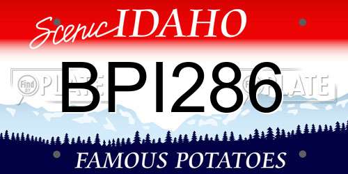 BPI286 Idaho License Plate