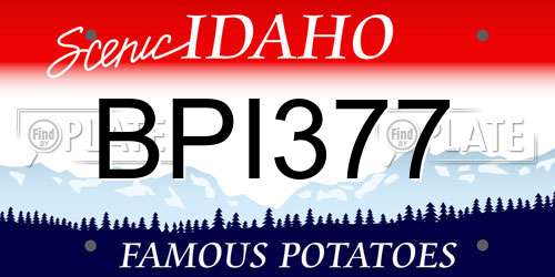 BPI377 Idaho License Plate