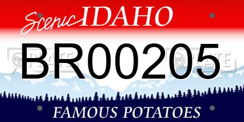 BR00205 Idaho License Plate