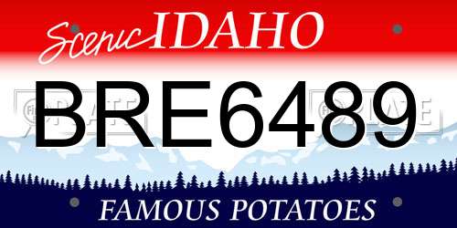 BRE6489 Idaho License Plate