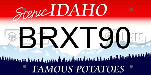 BRXT90 Idaho License Plate