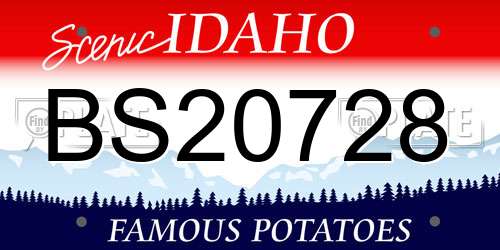 BS20728 Idaho License Plate