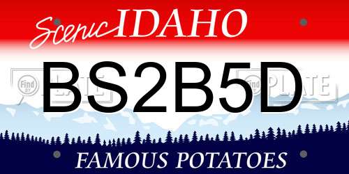 BS2B5D Idaho License Plate