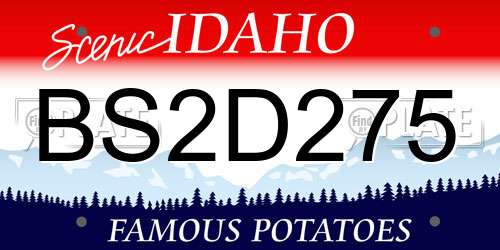BS2D275 Idaho License Plate
