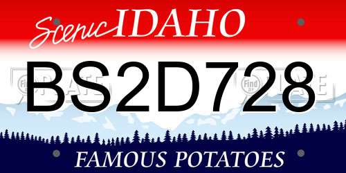 BS2D728 Idaho License Plate