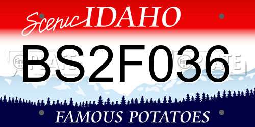 BS2F036 Idaho License Plate