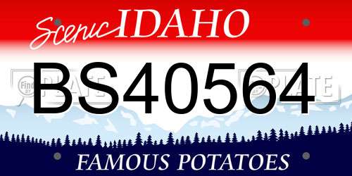 BS40564 Idaho License Plate