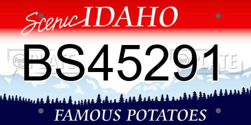 BS45291 Idaho License Plate