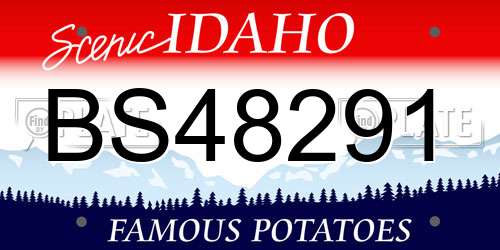 BS48291 Idaho License Plate