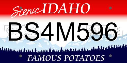 BS4M596 Idaho License Plate