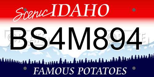 BS4M894 Idaho License Plate