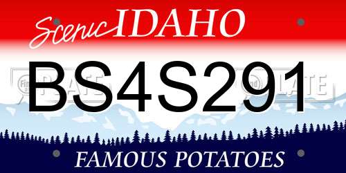 BS4S291 Idaho License Plate
