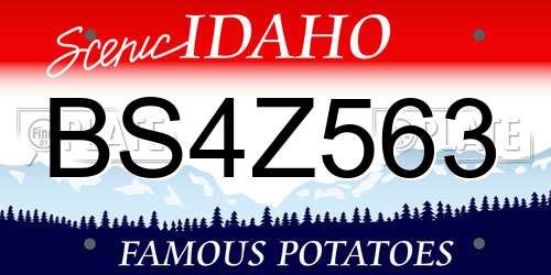 BS4Z563 Idaho License Plate