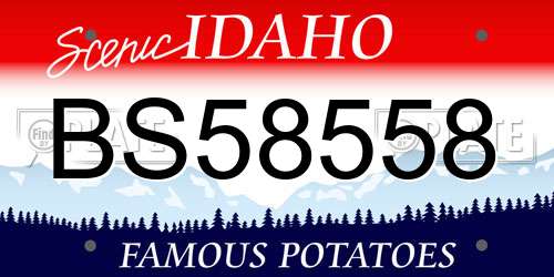 BS58558 Idaho License Plate