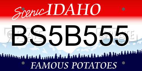 BS5B555 Idaho License Plate