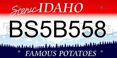 BS5B558 Idaho License Plate