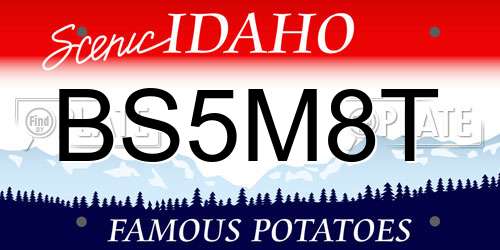 BS5M8T Idaho License Plate