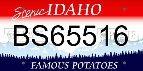 BS65516 Idaho License Plate