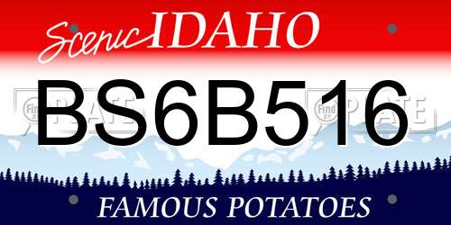 BS6B516 Idaho License Plate