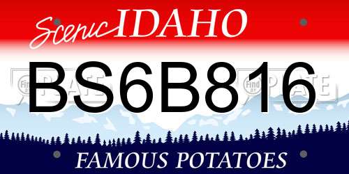 BS6B816 Idaho License Plate