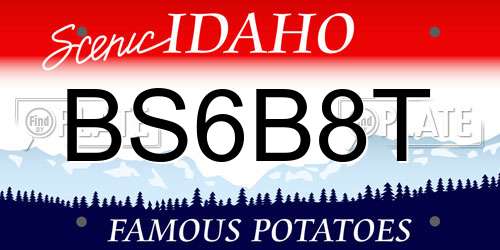 BS6B8T Idaho License Plate