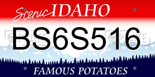 BS6S516 Idaho License Plate