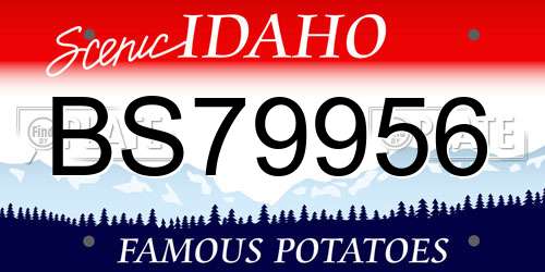 BS79956 Idaho License Plate